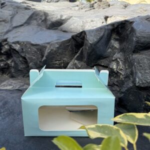 Cake Box Mint Peek (8x8x5)