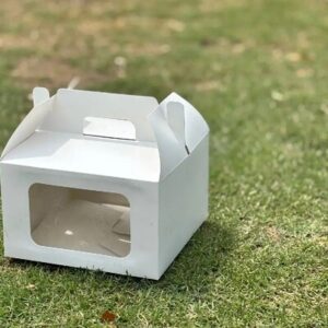 Classic White (8x8x5)